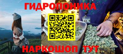 прущие крисы Берёзовский
