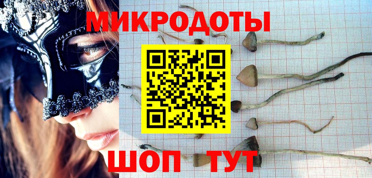 магазин продажи   Псилоцибиновые грибы мицелий  Вход с VPN  Ипатово 